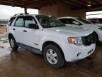 FORD - ESCAPE