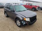FORD - ESCAPE