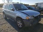 FORD - ESCAPE