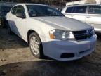 DODGE - AVENGER