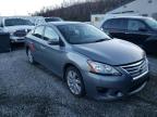 NISSAN - SENTRA