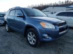 TOYOTA - RAV4