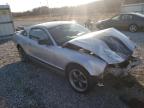 FORD - MUSTANG