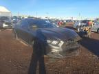 FORD - MUSTANG