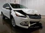 FORD - ESCAPE