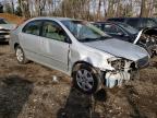 TOYOTA - COROLLA