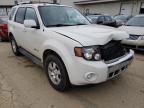 FORD - ESCAPE