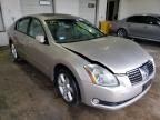 NISSAN - MAXIMA