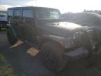 JEEP - WRANGLER