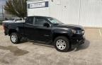 CHEVROLET - COLORADO