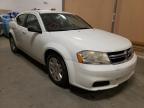 DODGE - AVENGER