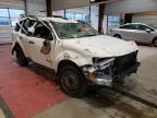 FORD - ESCAPE