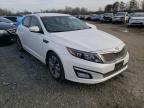 KIA - OPTIMA