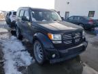 DODGE - NITRO