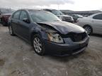 NISSAN - MAXIMA