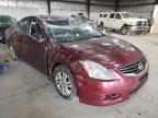 NISSAN - ALTIMA