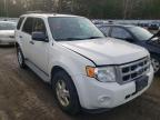 FORD - ESCAPE