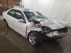FORD - FUSION