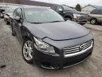 NISSAN - MAXIMA