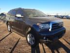 TOYOTA - SEQUOIA