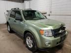 FORD - ESCAPE