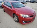 TOYOTA - CAMRY