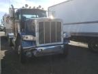 PETERBILT - 389