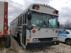 usados BLUEBIRD SCHOOL BUS