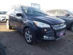 FORD - ESCAPE