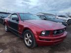 FORD - MUSTANG