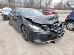 TOYOTA - CAMRY