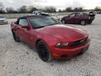 FORD - MUSTANG