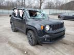 JEEP - RENEGADE