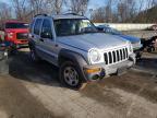 JEEP - LIBERTY