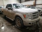 FORD - F-150