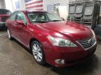 LEXUS - ES350