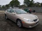 LEXUS - ES330