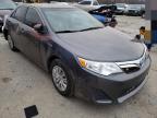 TOYOTA - CAMRY