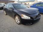 NISSAN - MAXIMA
