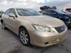 LEXUS - ES350