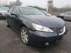 LEXUS - ES350