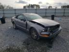 FORD - MUSTANG