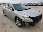 NISSAN - MAXIMA