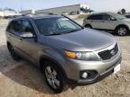 KIA - SORENTO