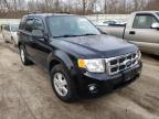 FORD - ESCAPE