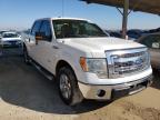 FORD - F-150