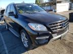 MERCEDES-BENZ - M-CLASS