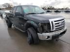 FORD - F-150