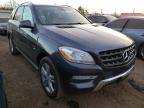 MERCEDES-BENZ - M-CLASS