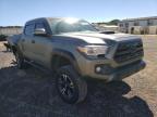 TOYOTA - TACOMA